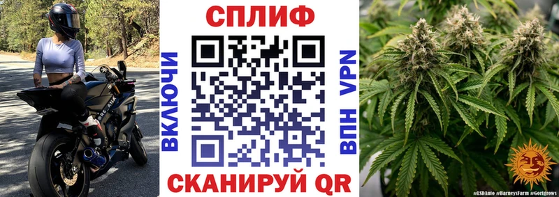 mega tor  Холмск  Марихуана план 